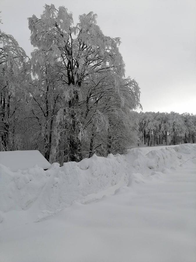Guest House "Visnja" Žabljak 外观 照片
